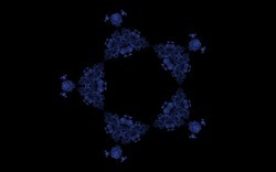 2014 04 30 Webs and Things 25-black.jpg